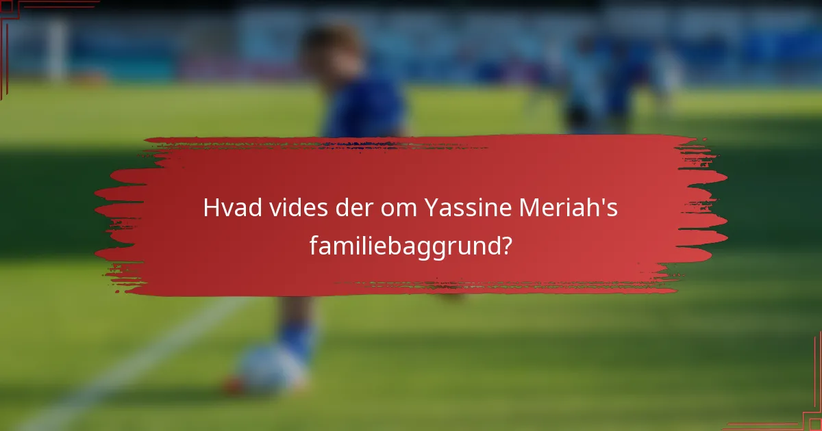 Hvad vides der om Yassine Meriah's familiebaggrund?