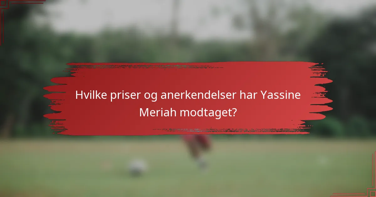 Hvilke priser og anerkendelser har Yassine Meriah modtaget?