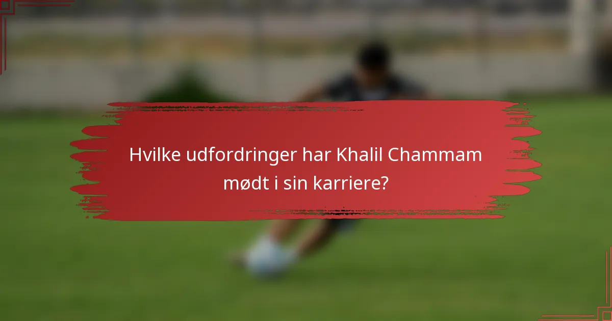 Hvilke udfordringer har Khalil Chammam mødt i sin karriere?